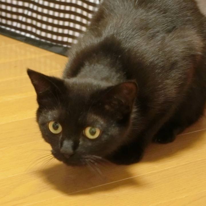 20d2f0be 8d96 4510 865a d419dab4371c