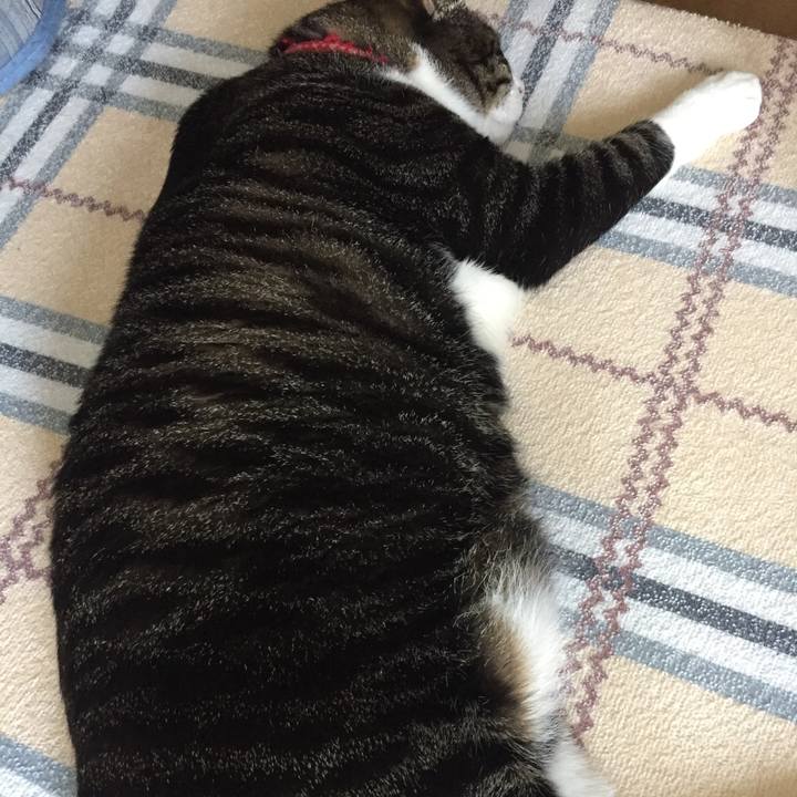 20d337fb f869 4479 92ad 38b8a51bbc9f