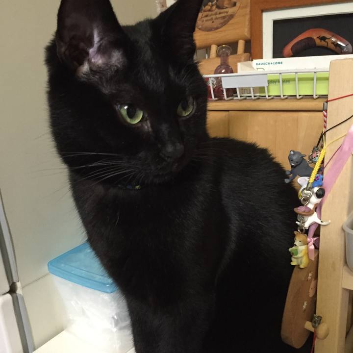 20d3da9b f03a 4c95 9f97 fe6eee52d5de