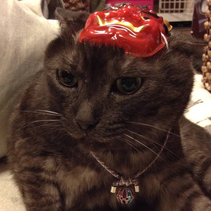 20d4c3ef 6870 4330 85dc 15b844f7ee43