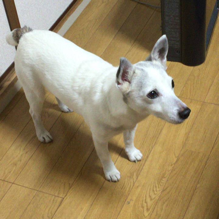 20d52f55 3a8c 4a3b b29c ad1187388f61