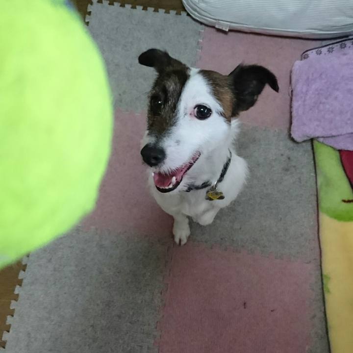 20d57f04 bf94 47e6 9027 ded9f3f0fc60