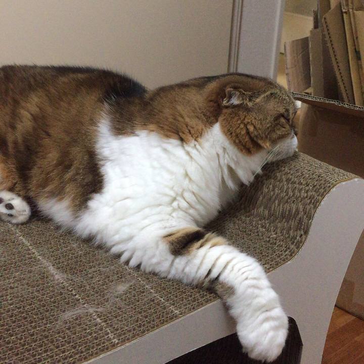 20d583c9 1de2 4bfc 8587 5660dd4dca8d