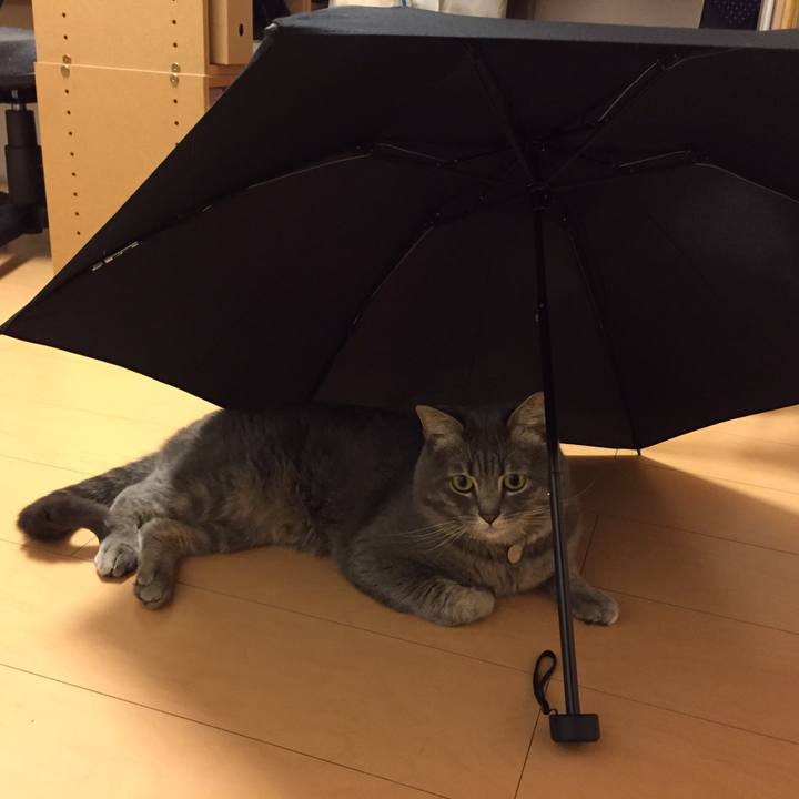 20d596b9 3cfe 4994 8ffc c4521ecd379b