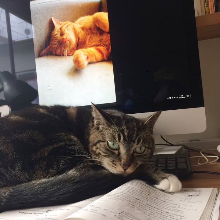 20d5b96b 84a9 4004 bced 8d5b1fa87430