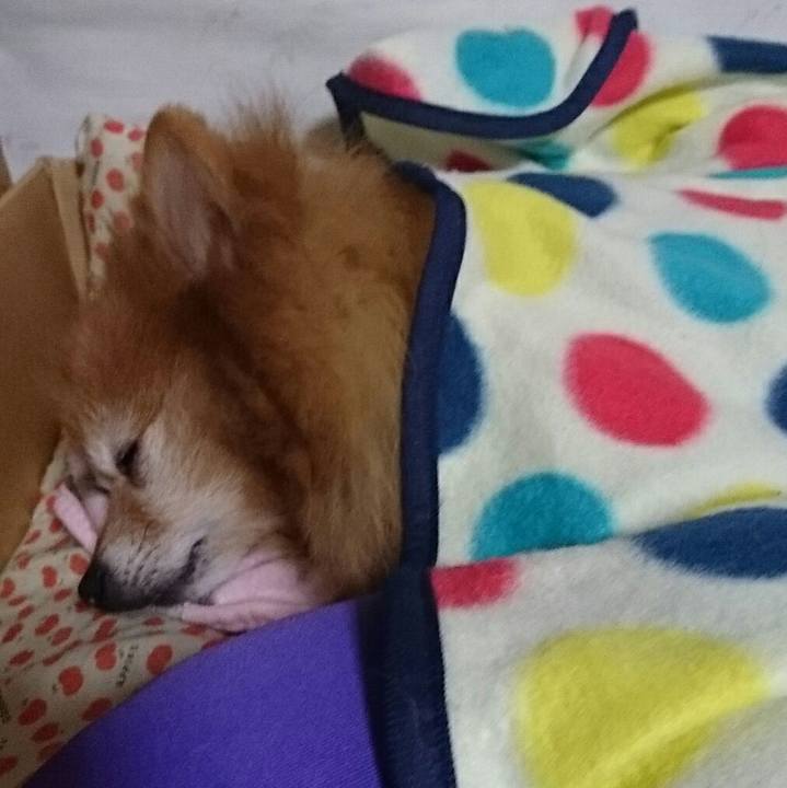 20d66b9f 8677 488e 9a30 aa0881969d84