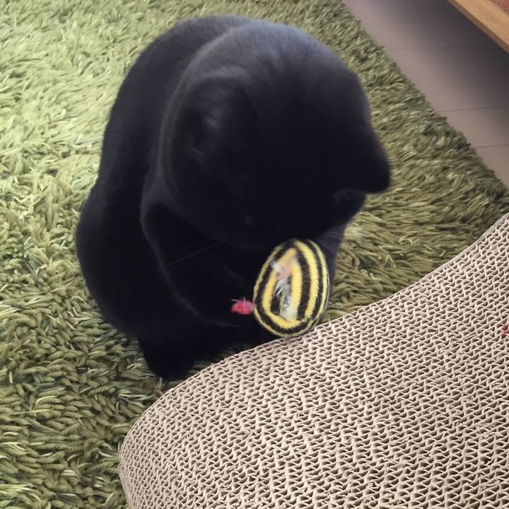 20d78222 6fad 4b15 8a2f f695e5109cda