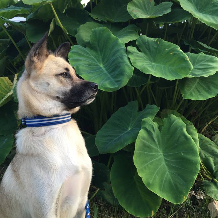 20d7939a edf8 4777 a4f8 60a3e56f62f5