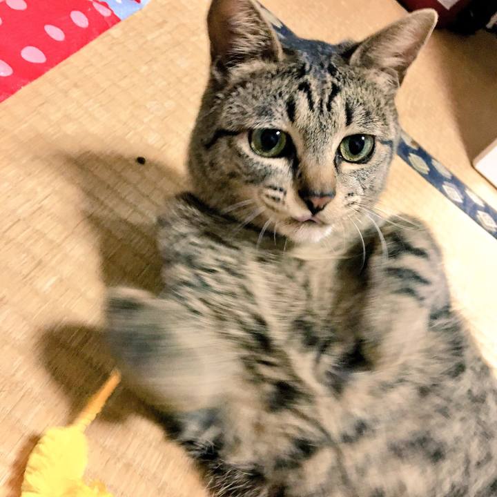 20d7c490 9dd2 40d6 aac1 bbcf089fe56f