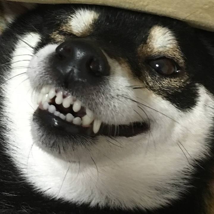 20d81c58 5c6f 44bd 9d97 11e8814d6b61