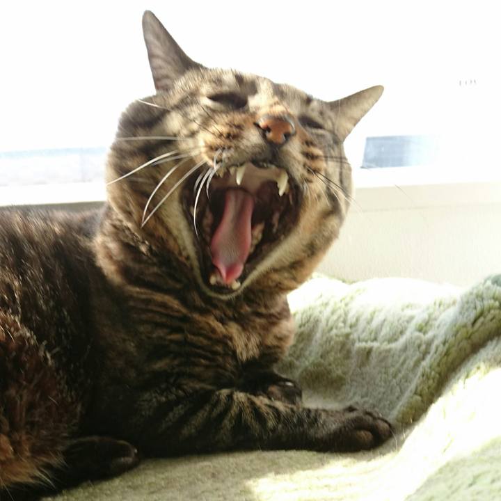 20d8dd0e 69e7 4f5e b0b8 63327e5d5e9e