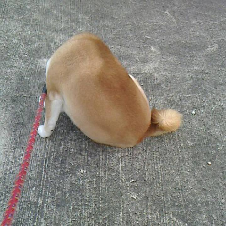 20d943dd 107f 4104 884d 4bf12b89bd8f