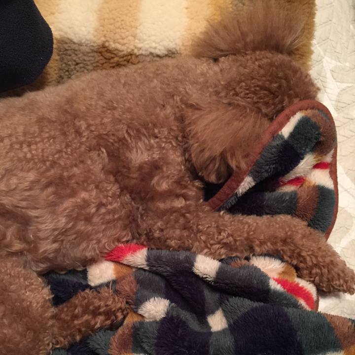 20d9b8d5 1d94 41b1 9666 53813ee3b605