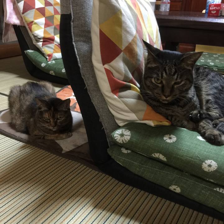 20d9c4e2 a77b 484f b9d0 22220b270f6d