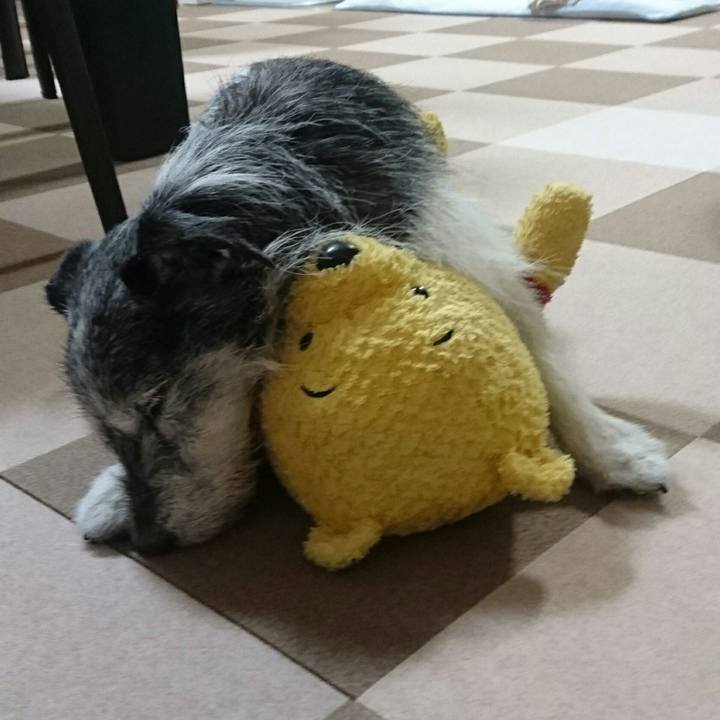 20da47a4 e6e7 43c5 bd49 5d2098f09e80