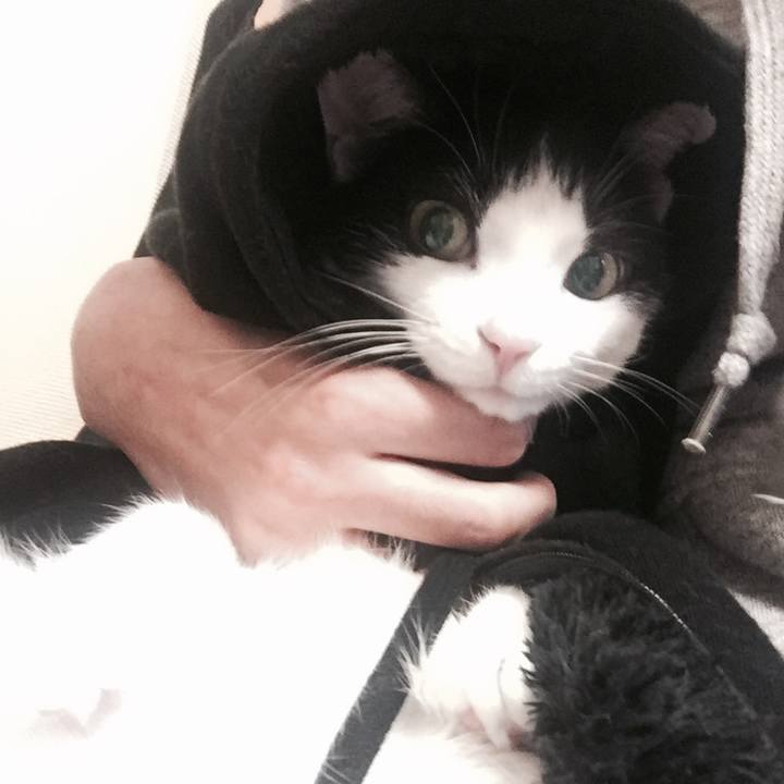 20da7bdb 02df 4fdf bbc0 0828458d7a83