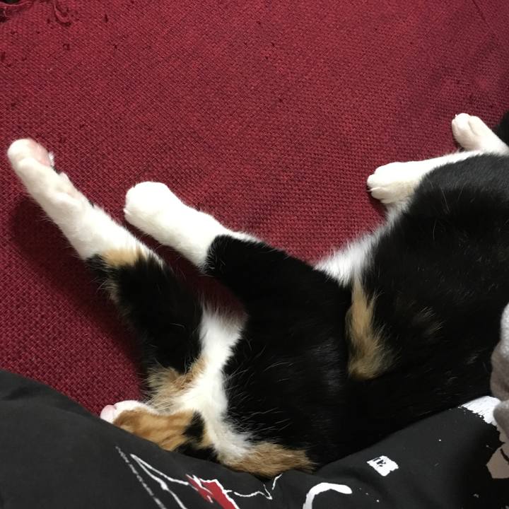 20dad239 8a64 4903 a5d7 f471bb6555ca