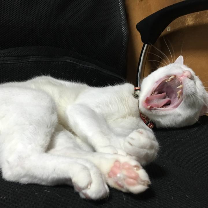 20db1fe0 f4bc 4a3c 9f99 db5eca4ea7dc