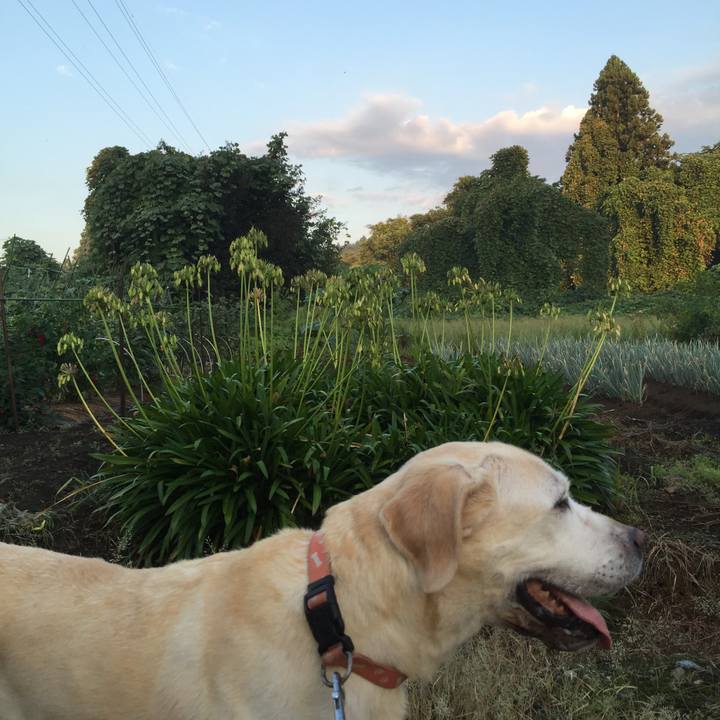 20db5eca e9ed 487b 9a3c cf8ca695d4bb