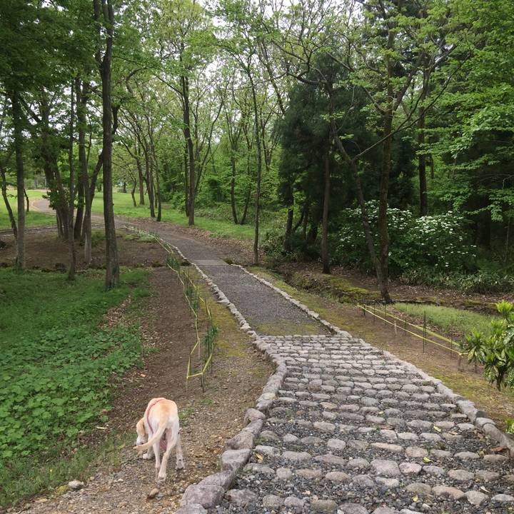 20dbeb68 3dea 4bca 8c02 dc12ff174b2b