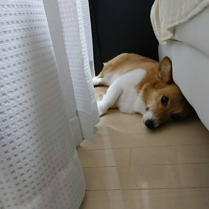 20dc4fcb 1e4e 42a5 b3f0 150872ca1283