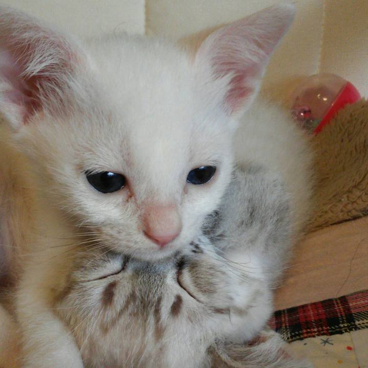 20dc55cf ba57 4f1c 936f 542ba0a14a9b