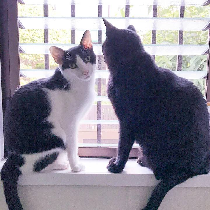 20dc6b6f f73c 484b bf10 28f9daba012a