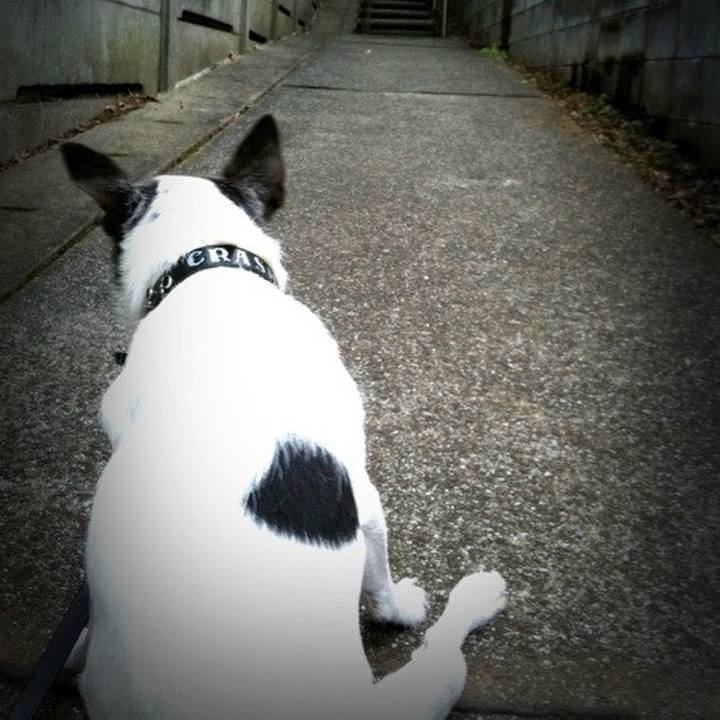 20dc70ce 72cd 4cad a833 e26269b12646