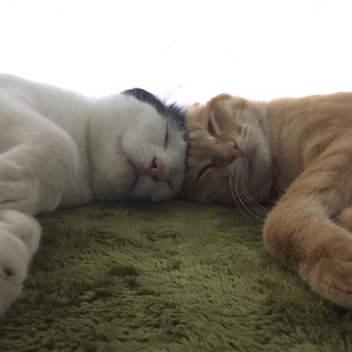 20dd1c85 bd90 4d63 b010 24846a86a4fa