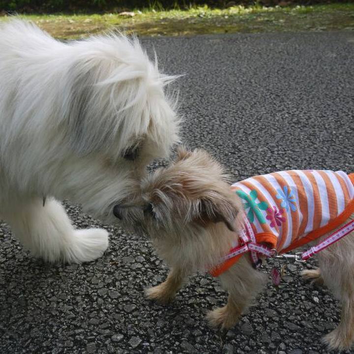 20ddaee1 75e8 447f 9016 302c24709878