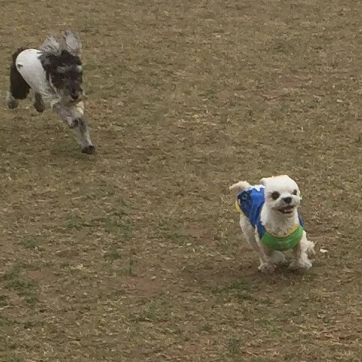 20ddaff6 3a48 4026 bee2 17d6b948d3ab