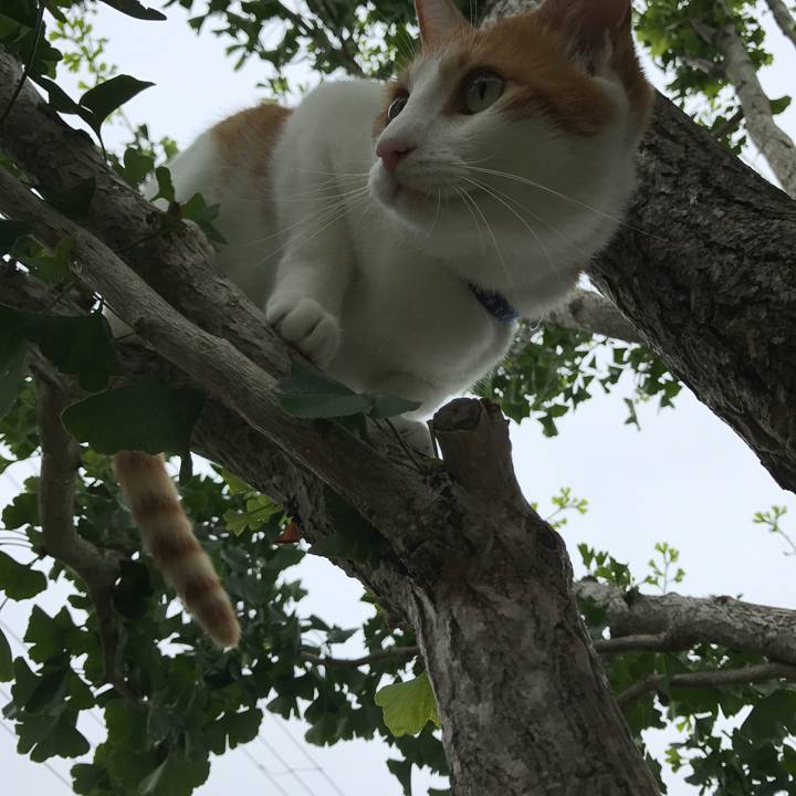 20de4a43 92fa 430a 964f 84edab720262