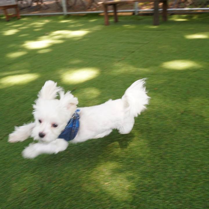 20ded4e7 bb04 45df a366 bd44a8c67fb8