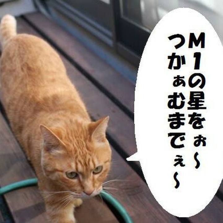 20df328d f4aa 4d78 af03 78d5d2d807c1