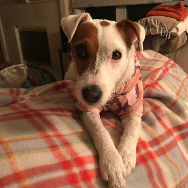 20e07d88 06c8 472d 8905 393f45a3bfa1