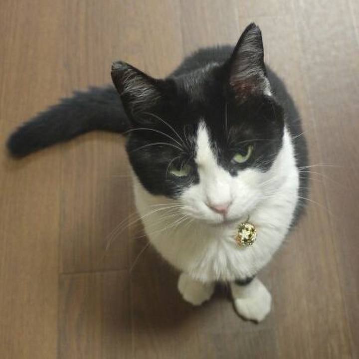 20e17fb2 5cef 4fc1 bd2f 3e6a6761fcaa