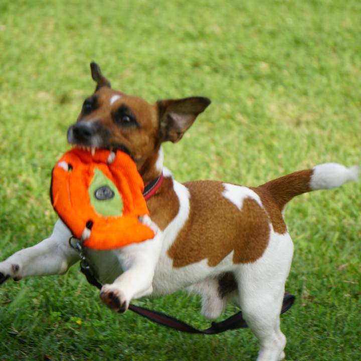 20e1e443 9773 44d2 9876 9b99c5308621