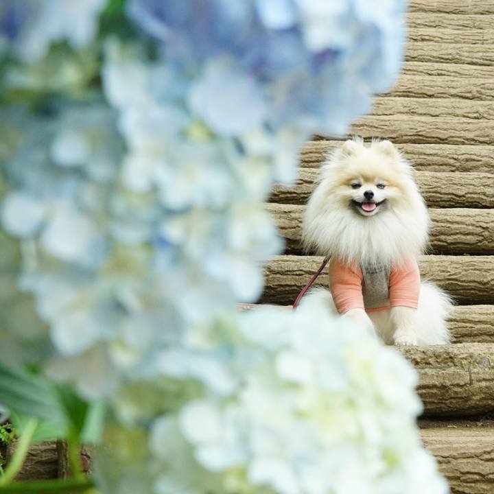 20e3b605 3b91 417a b30b ea58fb7e93f8