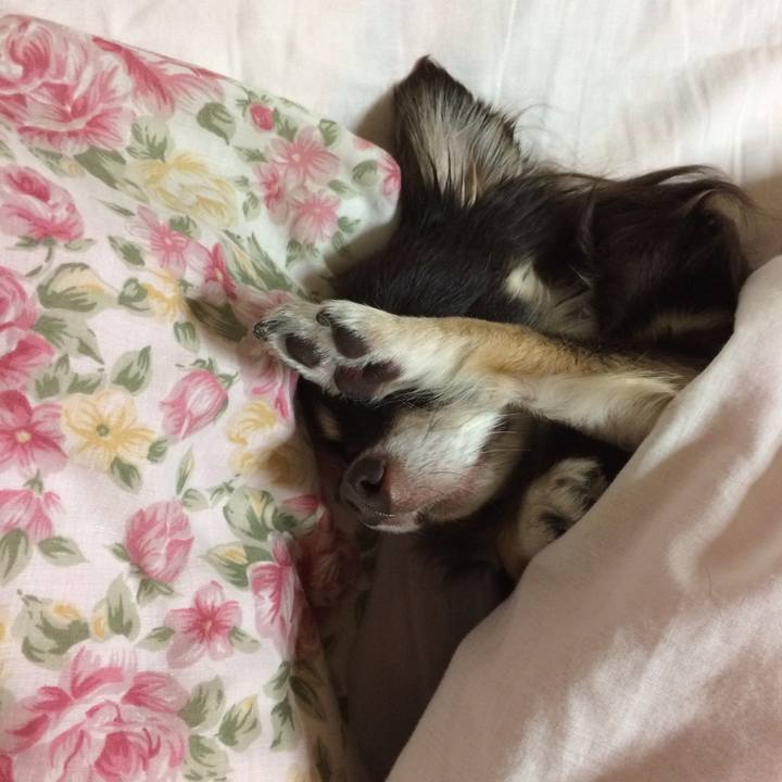 20e3deef 4f7c 4ecb a52e f6a42ef03932