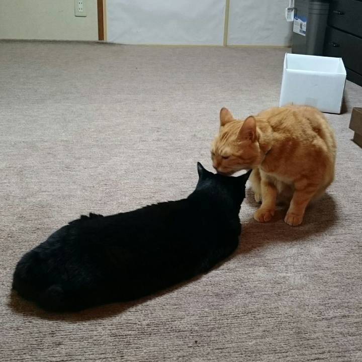 20e40e74 968f 4412 a78d 85d2bede3790