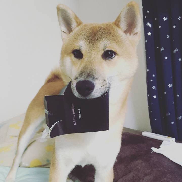 20e56a2d e9ce 4162 a3de ac1ebed04d66