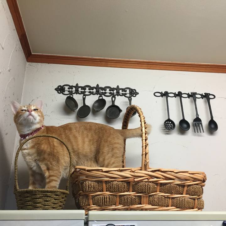 20e5c81c f2e9 4f6c acf7 d3310658abdf