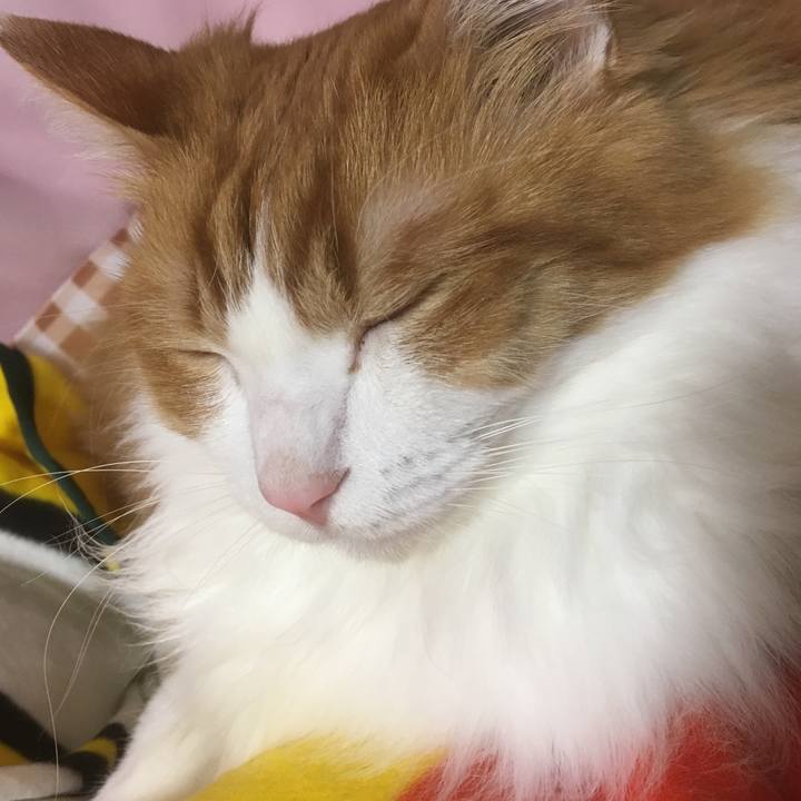 20e60b4b ef4b 4f37 bf9e a0cbfb2d2397