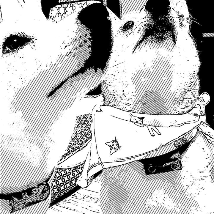 20e62708 0099 4648 8b8b 1b21958d54f5