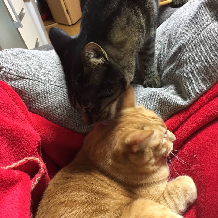 20e646a7 7bc2 498d 9703 8edc971a0cbb