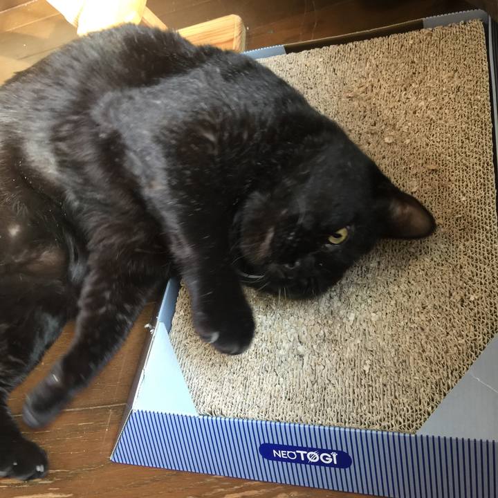 20e649fd 8ef0 42a5 9f4b 788478217262