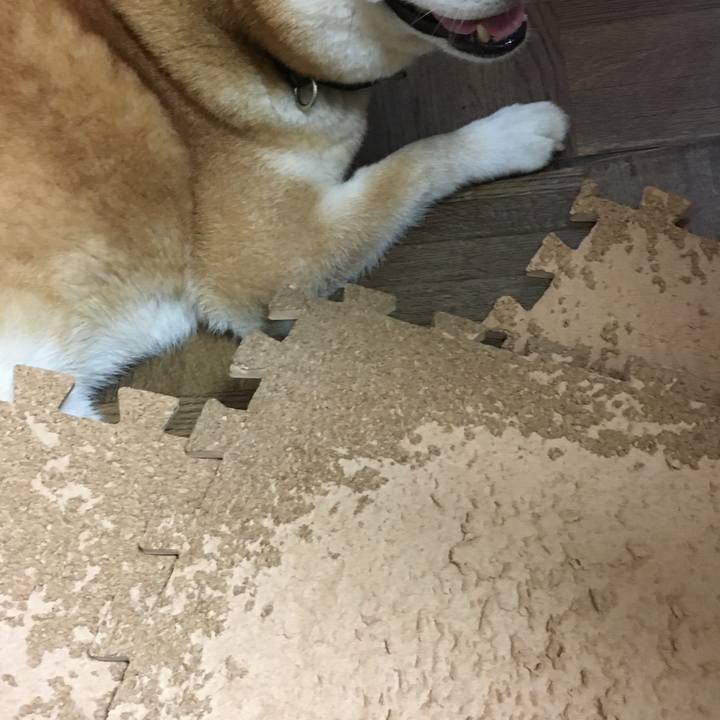 20e65377 8e70 4e2b 86fa 80e401e8d558