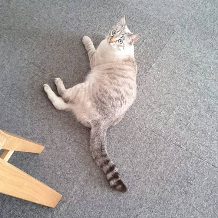 20e75391 7b8b 47fa b5aa 9626d9aa2d75