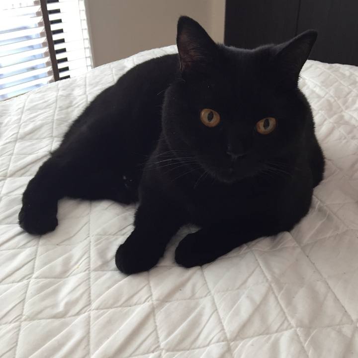 20e80ab7 b35a 4930 86f6 55e6211c6900