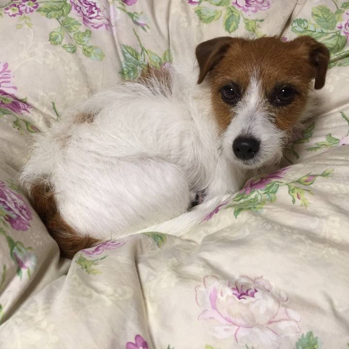 20e81493 d2af 4a81 9791 f555facfbc0e